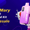 Buy Lost Mary BM6000 Prefilled Kit Wholesale: A Must-Have for Retailers and Vape Businesses