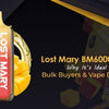 Lost Mary BM6000 Review: Why It’s Ideal for Bulk Buyers & Vape Distributors