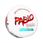 Pablo Snus Nicotine Pouches Pack of 10 Frosted Mint
