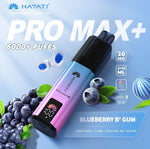 Hayati Pro Max+ 6000 Puffs Prefilled Pod Vape Kit Box of 5 Blueberry B Gum *New*