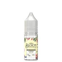 Bloom 10ml Nic Salt (Pack of 10) 10mg