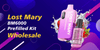Buy Lost Mary BM6000 Prefilled Kit Wholesale: A Must-Have for Retailers and Vape Businesses - Bulk Vape Wholesale