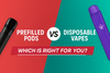 Prefilled Vapes vs Disposable Vapes: Which Is Better for You? - Bulk Vape Wholesale