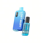 Lost Mary BM6000 Puffs Prefilled Pod Vape kit Box of 5 Blueberry