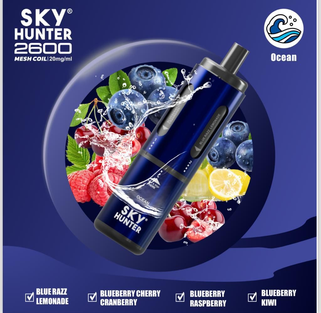 4 in 1 Sky Hunter 2600 Puffs Disposable Vape Pod Kit Pack of 5 - Bulk Vape Wholesale