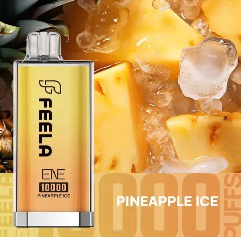 Ene Feela 10000 Puffs Disposable Vape Pack of 10 - Bulk Vape Wholesale