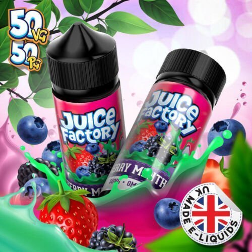 Juice Factory E - Liquid 100ml E - liquids Berry Menthol
