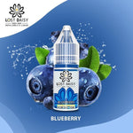 Lost Daisy 5000 Bar Salt 10ml - Box of 10 Blueberry
