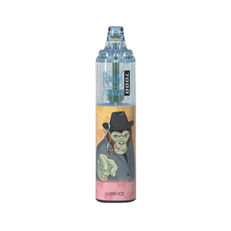 R & M 7000 Disposable Vape | Box of 10 - Bulk Vape Wholesale